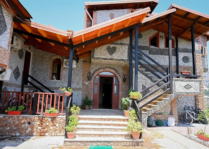 Bujtina Syni Zi 