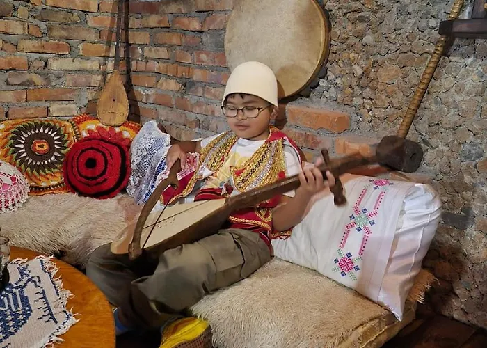 Bujtina Syni Zi 