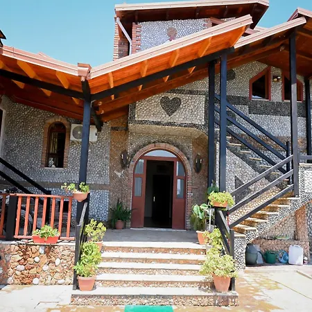 Bujtina Syni Zi 