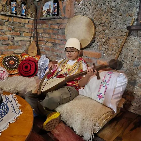Bujtina Syni Zi 