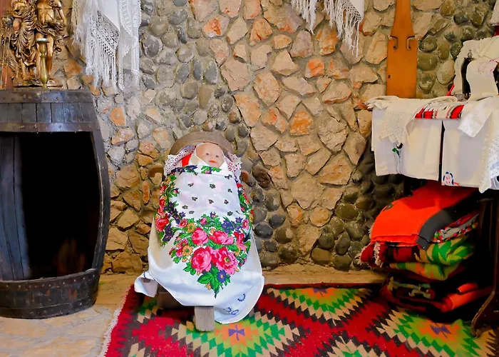Bujtina Syni Zi 
