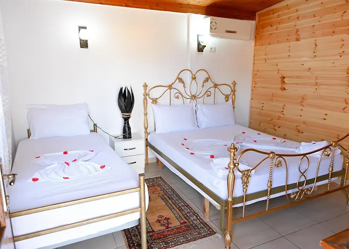 Hotel Bujtina Syni Zi 